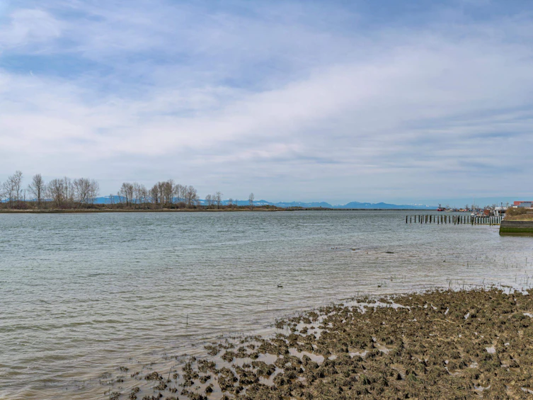 212-12639 No. 2 Road, Richmond, BC, V7E 6N6 - 39