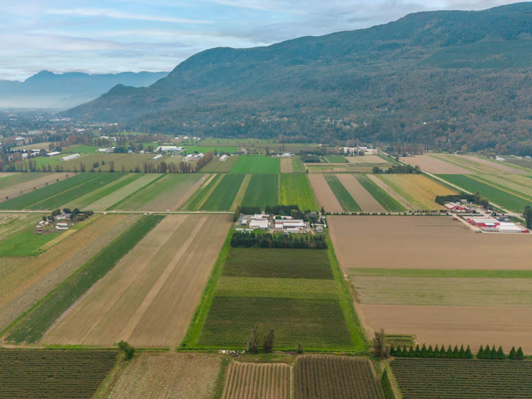3387 Tolmie Road, Abbotsford, BC, V3G 2T9 - 3