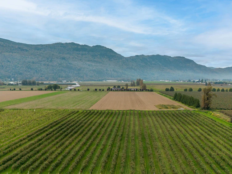 3387 Tolmie Road, Abbotsford, BC, V3G 2T9 - 6