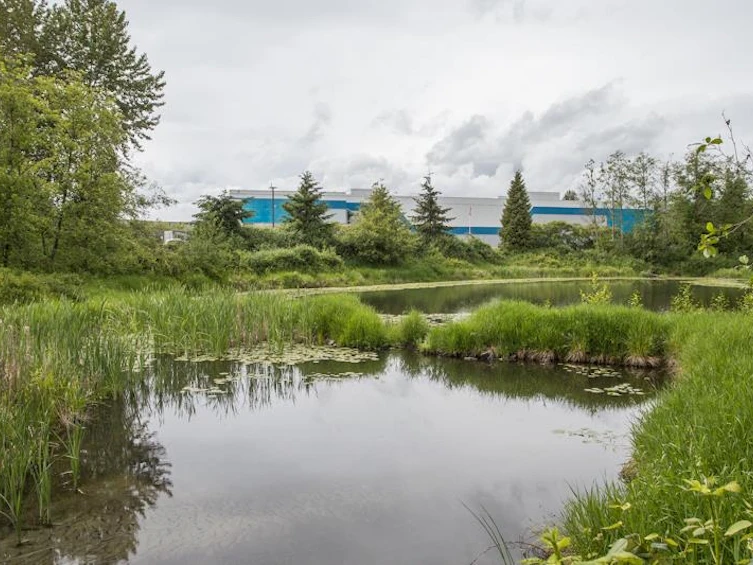 312-12655 190a Street, Pitt Meadows, BC, V3Y 0E9 - 32
