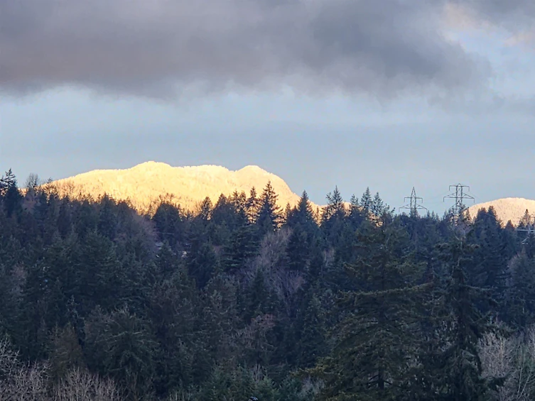 1135 Lillooet Road, North Vancouver, BC, V7J 3H7 - 5