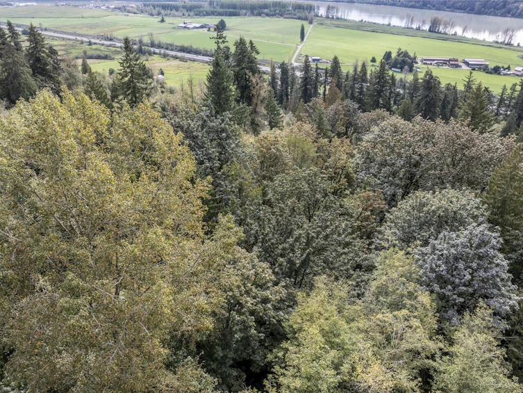 30362 Gunn Avenue, Mission, BC, V4S 1H2 - 4