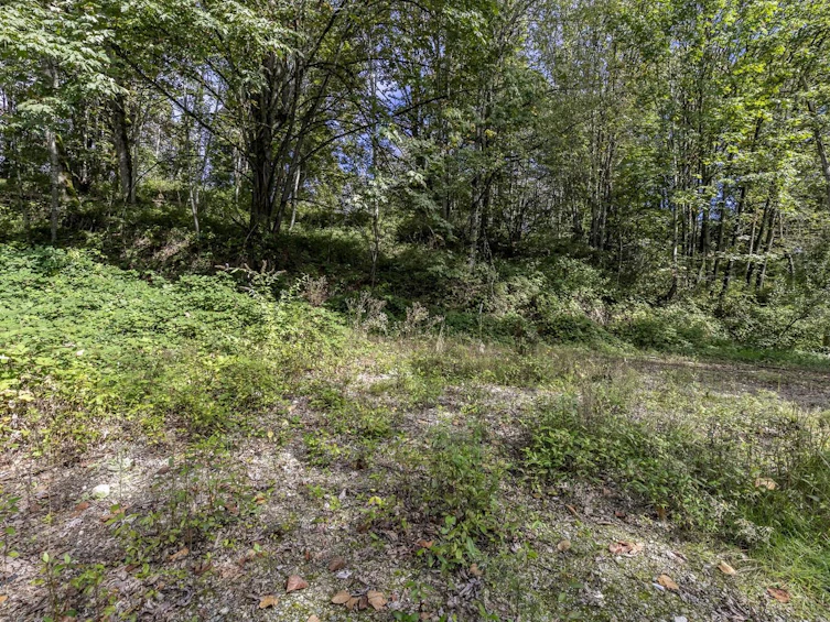 30362 Gunn Avenue, Mission, BC, V4S 1H2 - 6