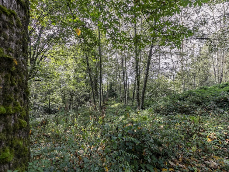 30362 Gunn Avenue, Mission, BC, V4S 1H2 - 7
