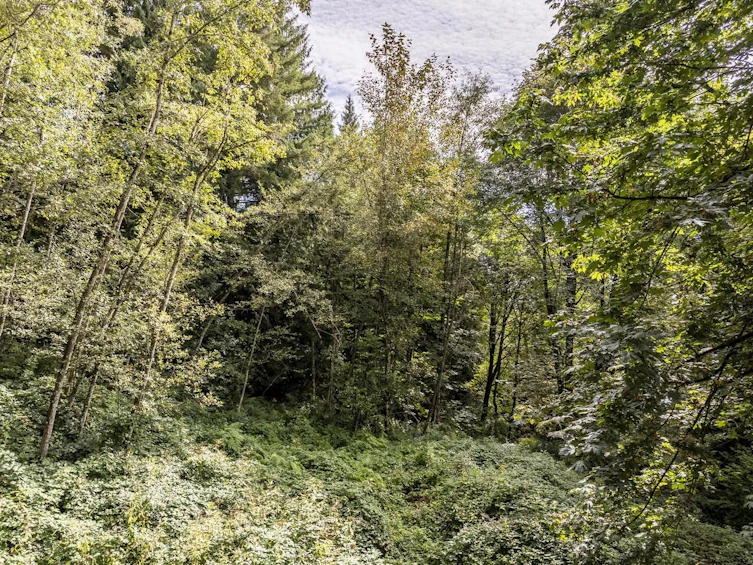 30362 Gunn Avenue, Mission, BC, V4S 1H2 - 25