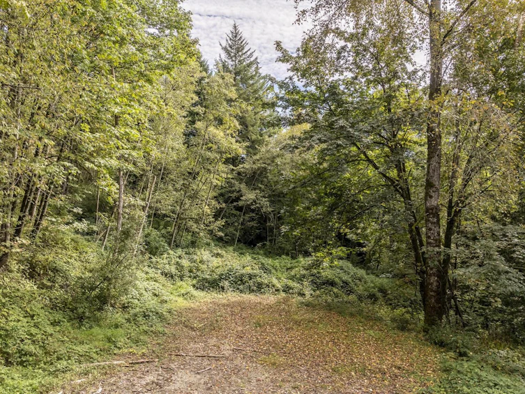 30362 Gunn Avenue, Mission, BC, V4S 1H2 - 26