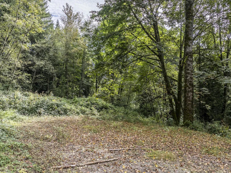 30362 Gunn Avenue, Mission, BC, V4S 1H2 - 28