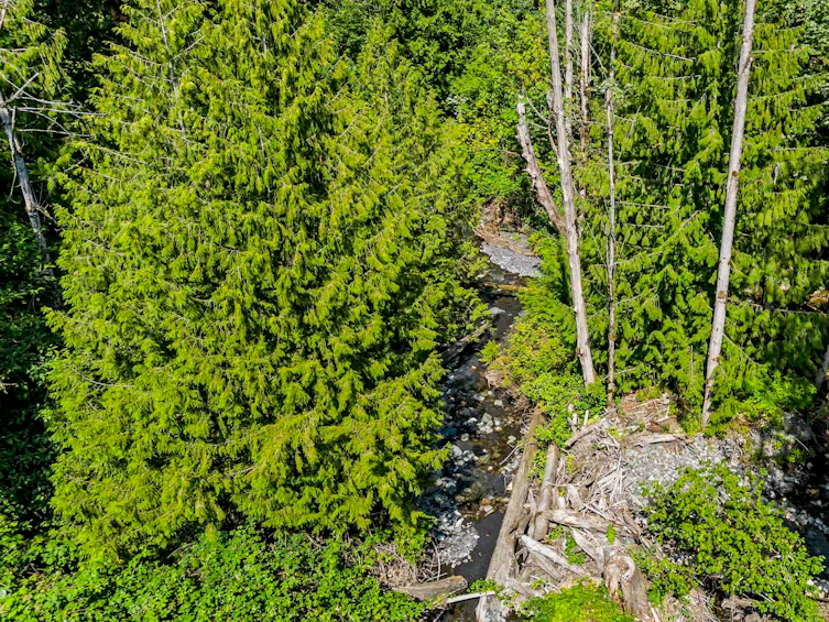7752 Patterson Road, Chilliwack, BC, V4Z 1J6 - 38