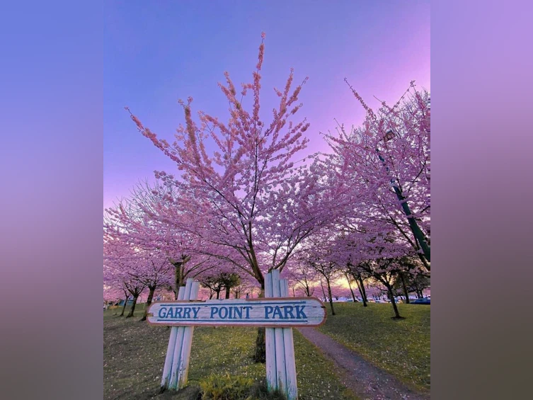 11726 Yoshida Court, Richmond, BC, V7E 5C6 - 33