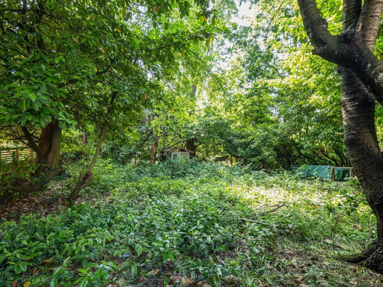 3343 Fleming Street, Vancouver, BC, V5N 3V6 - 8