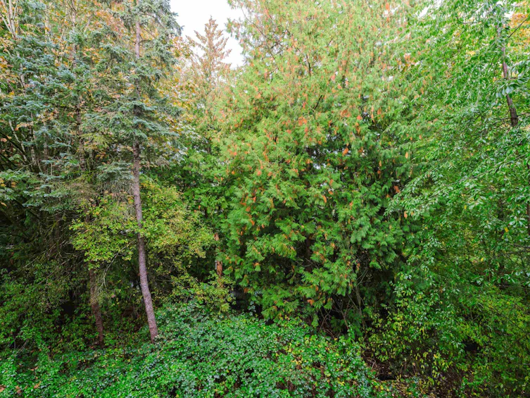 209-5516 198 Street, Langley, BC, V3A 0A6 - 20