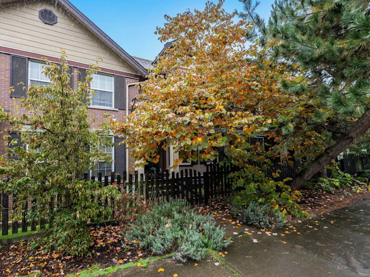 20910 72 Avenue, Langley, BC, V2Y 0J1 - 34