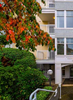 203 20228 54 Avenue