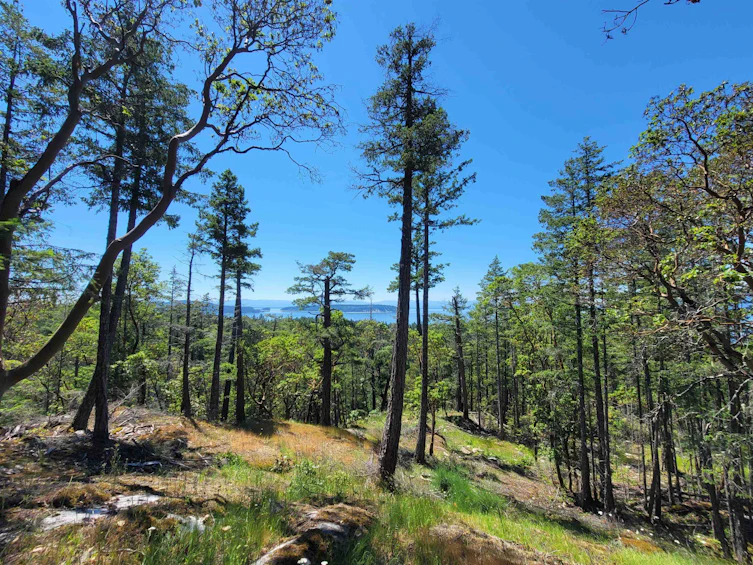 Lot 36 Wood Bay Ridge Road, Pender Harbour Egmont, BC, V0N 1Y2 - 4
