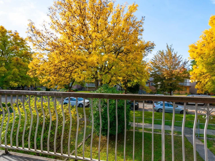 6372 St. Catherines Street, Vancouver, BC, V5W 3G8 - 20