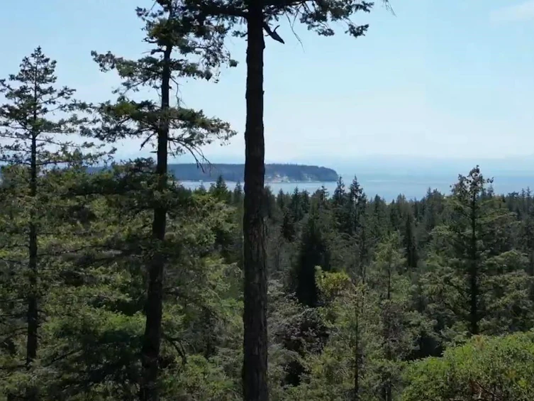 Lot 40 Wood Bay Ridge Road, Pender Harbour Egmont, BC, V0N 1Y2 - 2