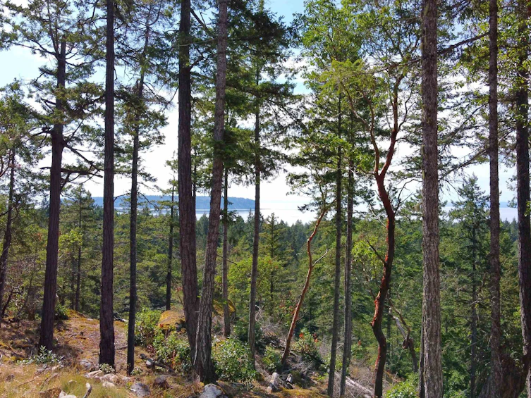 Lot 40 Wood Bay Ridge Road, Pender Harbour Egmont, BC, V0N 1Y2 - 6