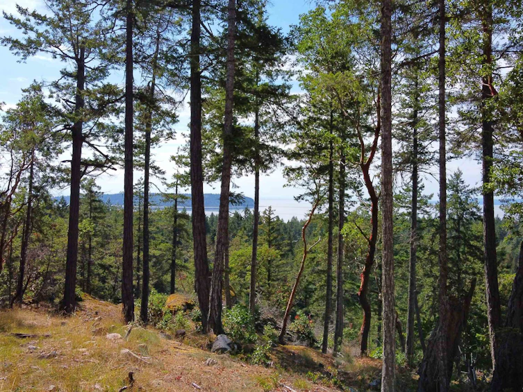 Lot 41 Wood Bay Ridge Road, Pender Harbour Egmont, BC, V0N 1Y2 - 3