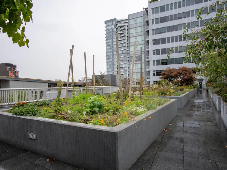 306-108 E 1st Avenue, Vancouver, BC, V5T 0E4 - 33