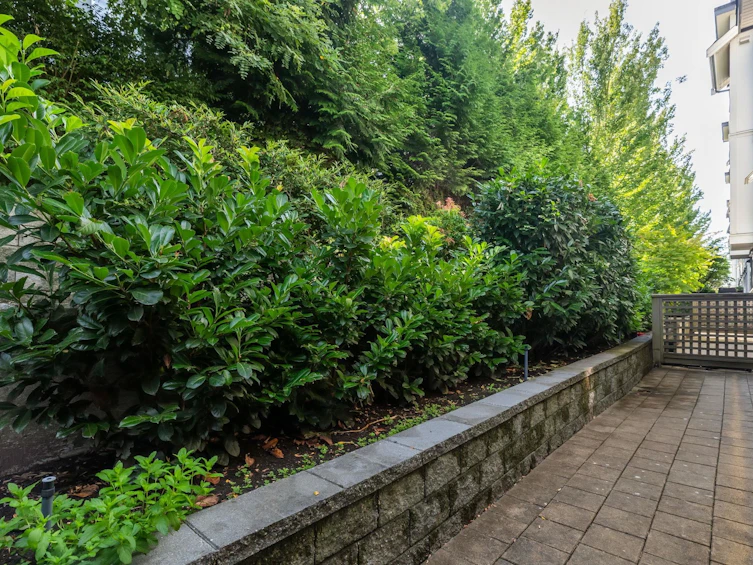 223-13897 Fraser Highway, Surrey, BC, V3T 0G8 - 22