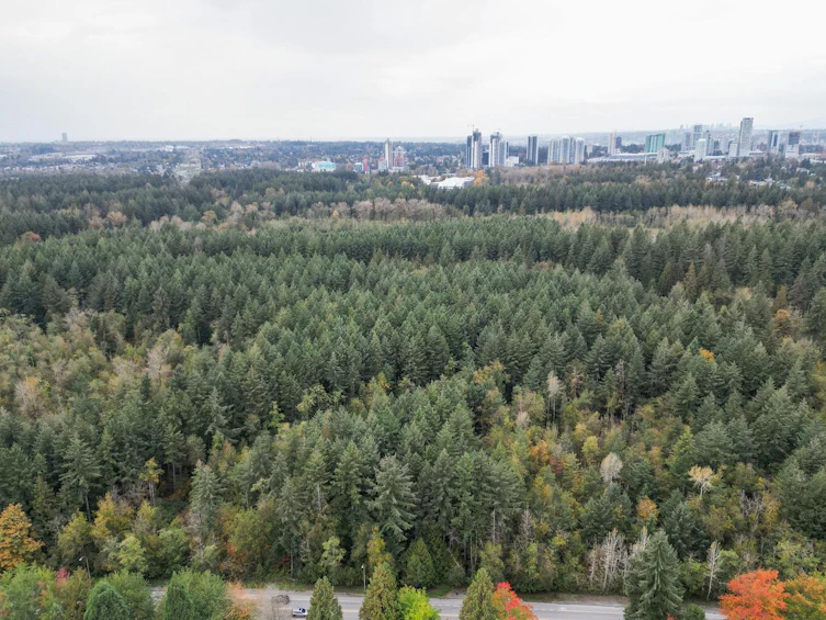 101-9781 148a Street, Surrey, BC, V3R 9P1 - 26