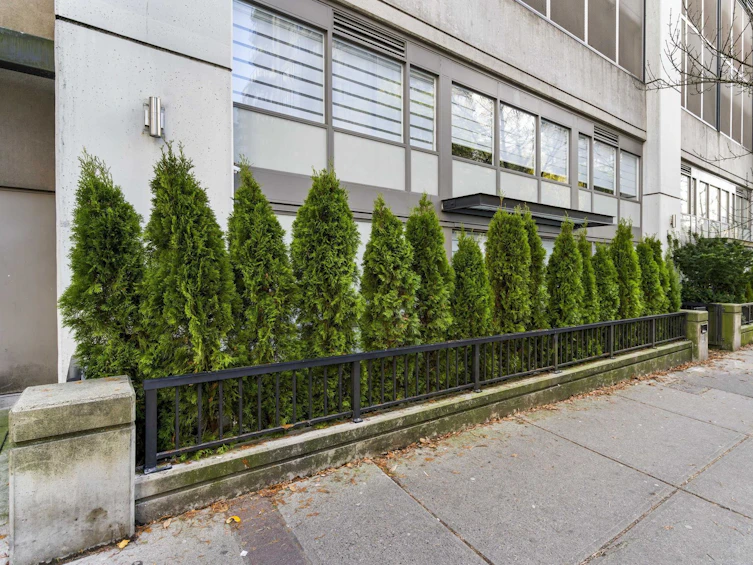 101-892 Carnarvon Street, New Westminster, BC, V3M 0C5 - 3