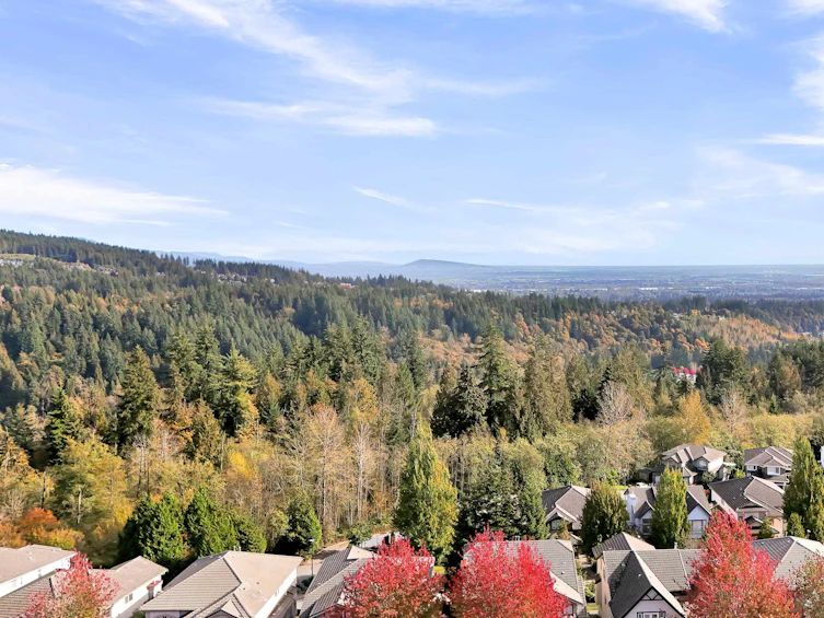 1675 Mallard Court, Coquitlam, BC, V3E 3C7 - 38