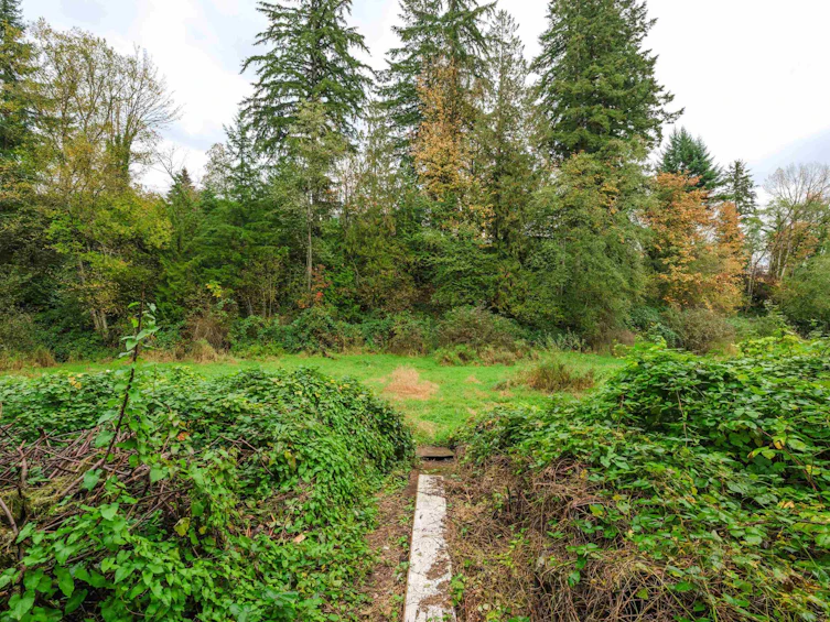 9822 287 Street, Maple Ridge, BC, V2W 1K9 - 36