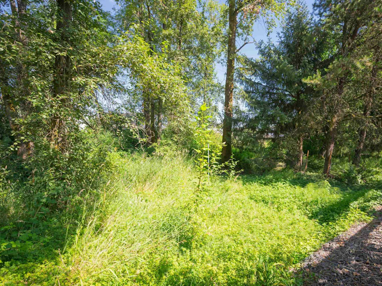 9582 214a Street, Langley, BC, V1M 1T4 - 38