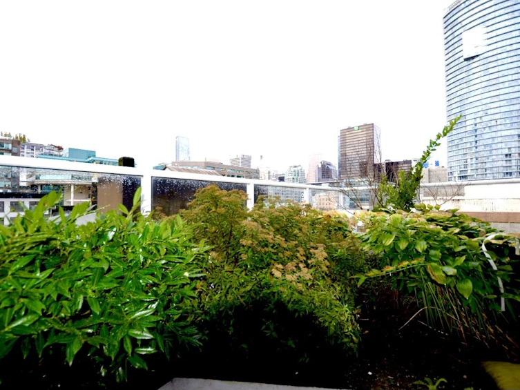 614-933 Seymour Street, Vancouver, BC, V6B 6L6 - 32