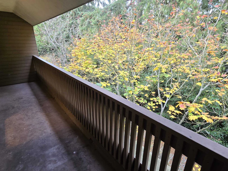218-7431 Minoru Boulevard, Richmond, BC, V6Y 1Z3 - 14