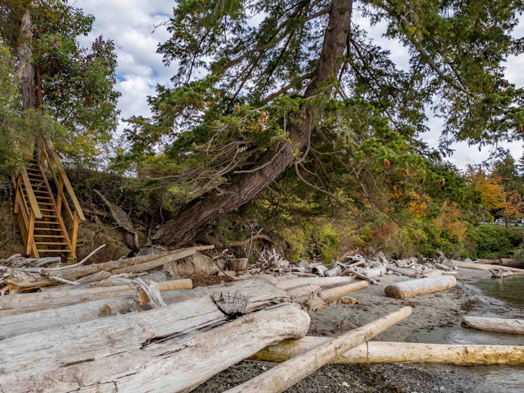 105 Madrona Road, Galiano Island, BC, V0N 1P0 - 31