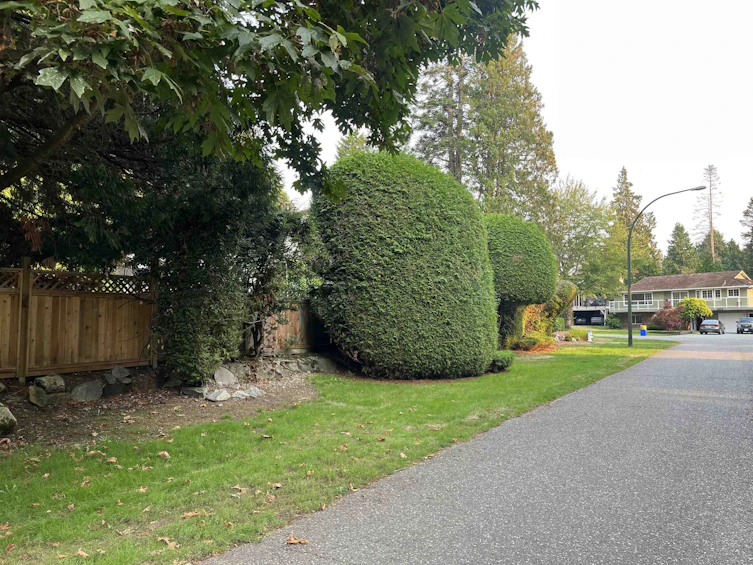4853 Cedar Crescent, Delta, BC, V4M 1J9 - 19