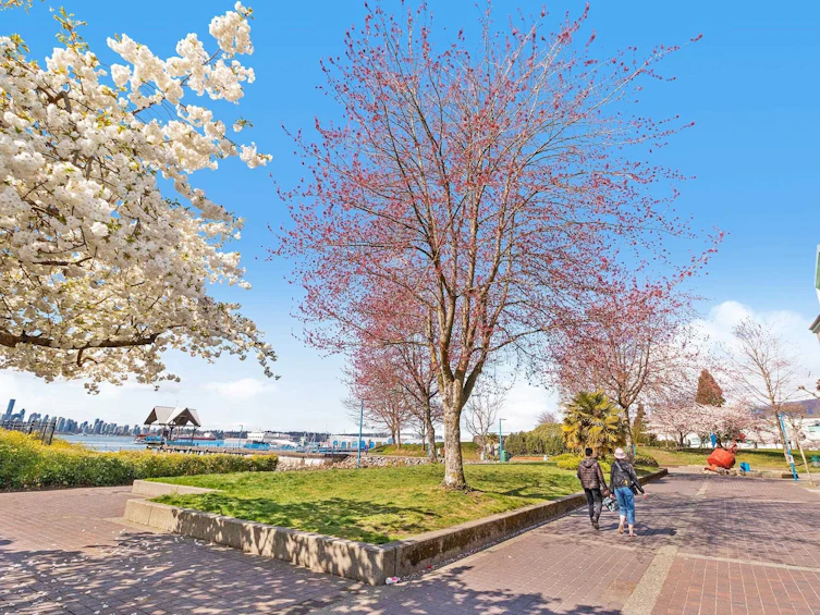 102-315 E 3rd Street, North Vancouver, BC, V7L 1G1 - 24