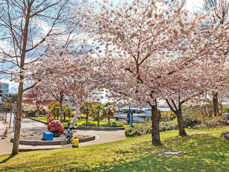 102-315 E 3rd Street, North Vancouver, BC, V7L 1G1 - 25