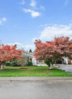 2535 Cameron Crescent