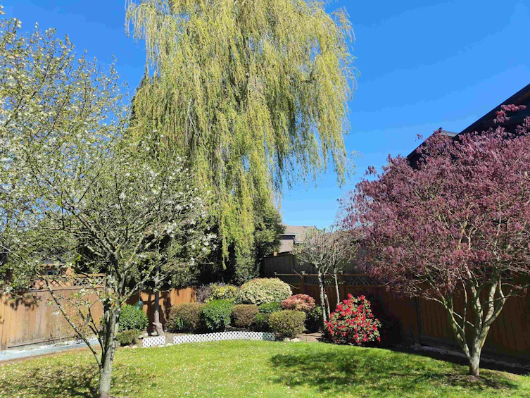 5931 Puffin Court, Richmond, BC, V7E 3W1 - 35