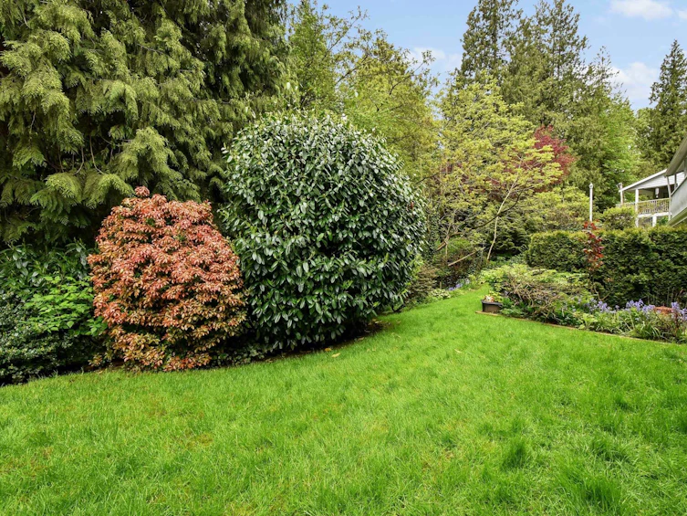 5-33020 Maclure Road, Abbotsford, BC, V2S 7J6 - 24