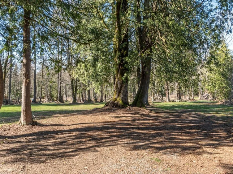 26803 Ferguson Avenue, Maple Ridge, BC, V2W 1R9 - 36