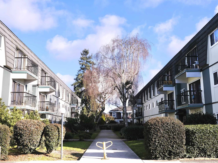 254-8131A Ryan Road, Richmond, BC, V7A 2E4 - 5
