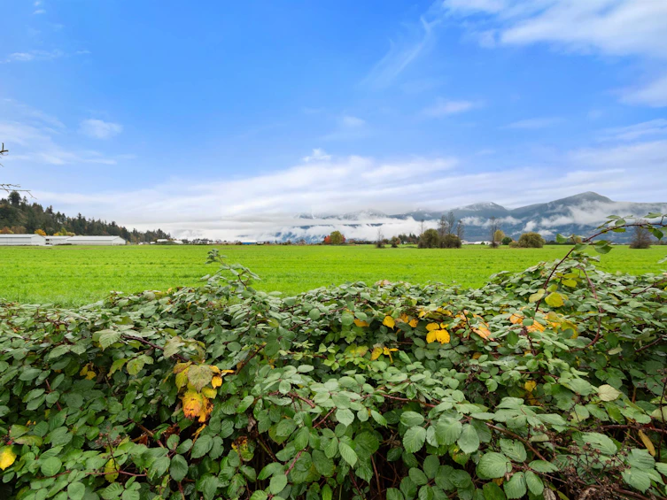 9590 Paula Crescent, Chilliwack, BC, V2P 6H2 - 38