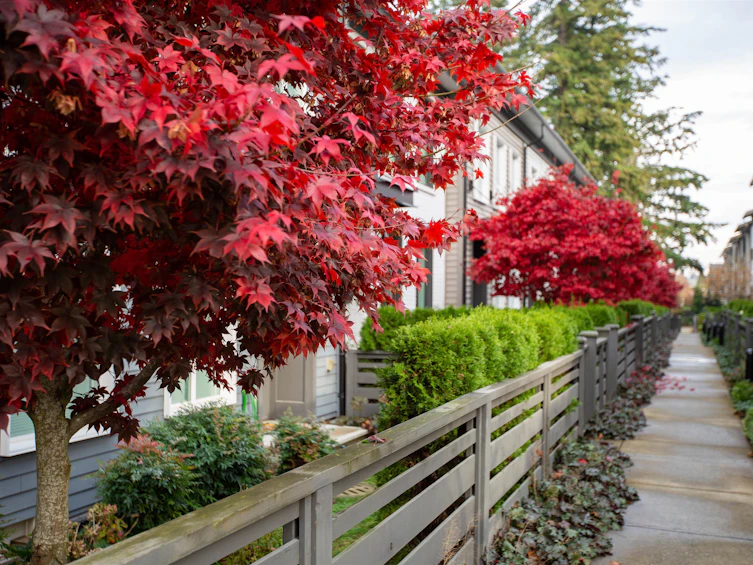 51-15898 27 Avenue, Surrey, BC, V3Z 0T2 - 34