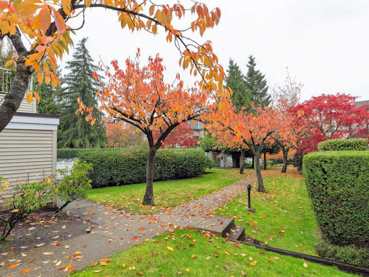 43-5950 Oakdale Road, Burnaby, BC, V5H 4R5 - 17