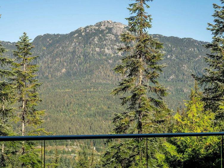 2909 Kadenwood Drive, Whistler, BC, V8E 0L6 - 16