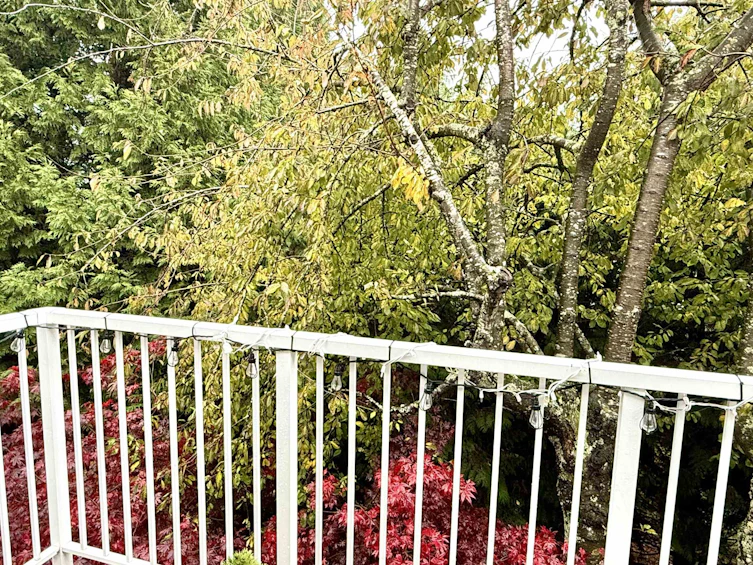 315-7240 Lindsay Road, Richmond, BC, V7C 3M6 - 12