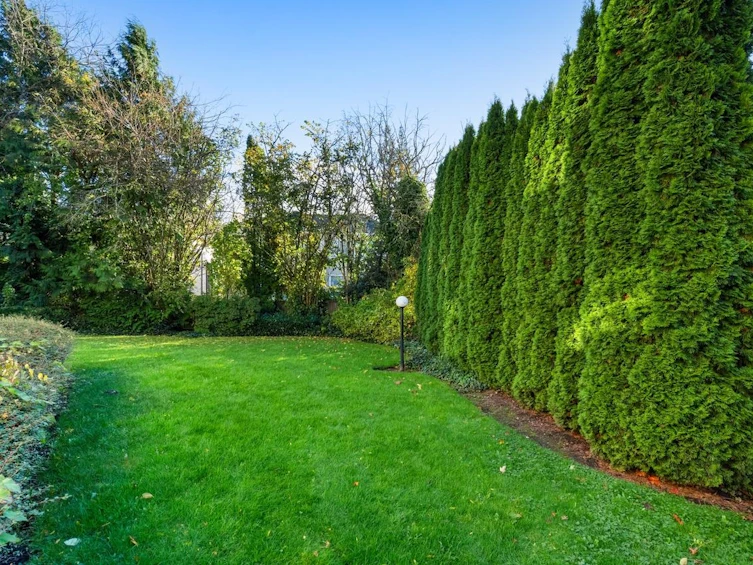 3-7141 122 Street, Surrey, BC, V3W 3S1 - 5