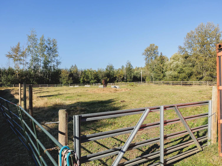 23468 20 Avenue, Langley, BC, V2Z 2Z7 - 7