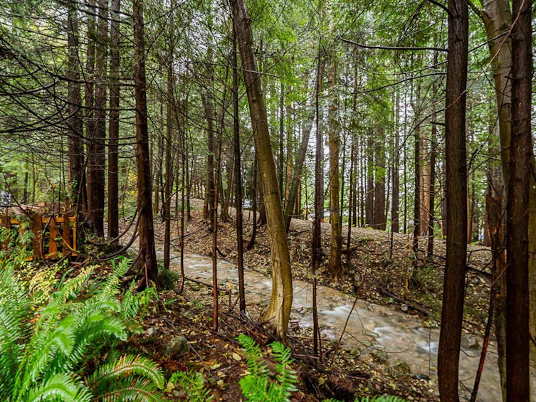 5199 Ranger Avenue, North Vancouver, BC, V7R 3M5 - 30