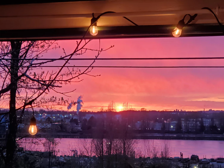 11102 River Road, Delta, BC, V4C 2S4 - 39