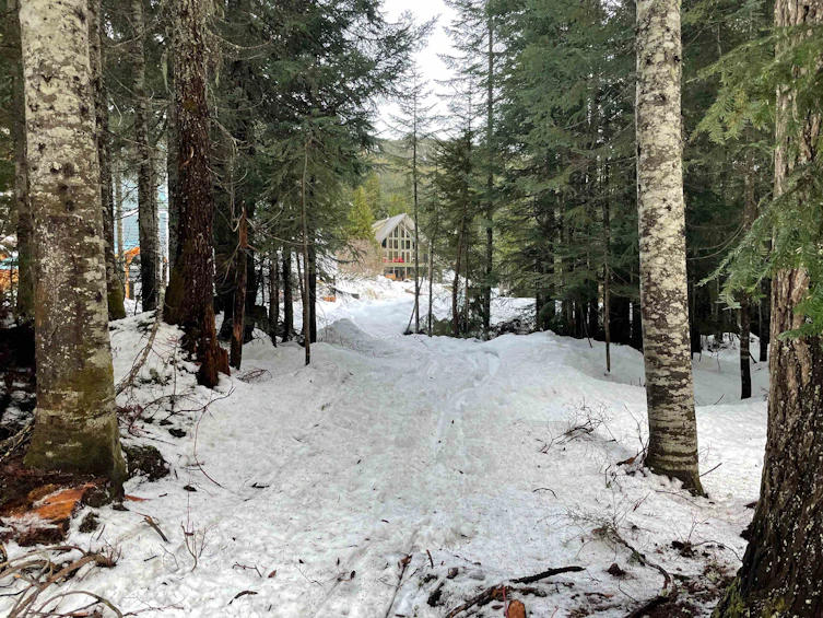 20785 Mt Downing Road, Mission, BC, V0M 1A1 - 13